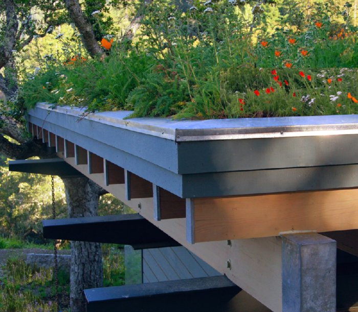 green roofed house